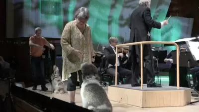 Psi sa orkestrom izvode Mocarta u Danskoj